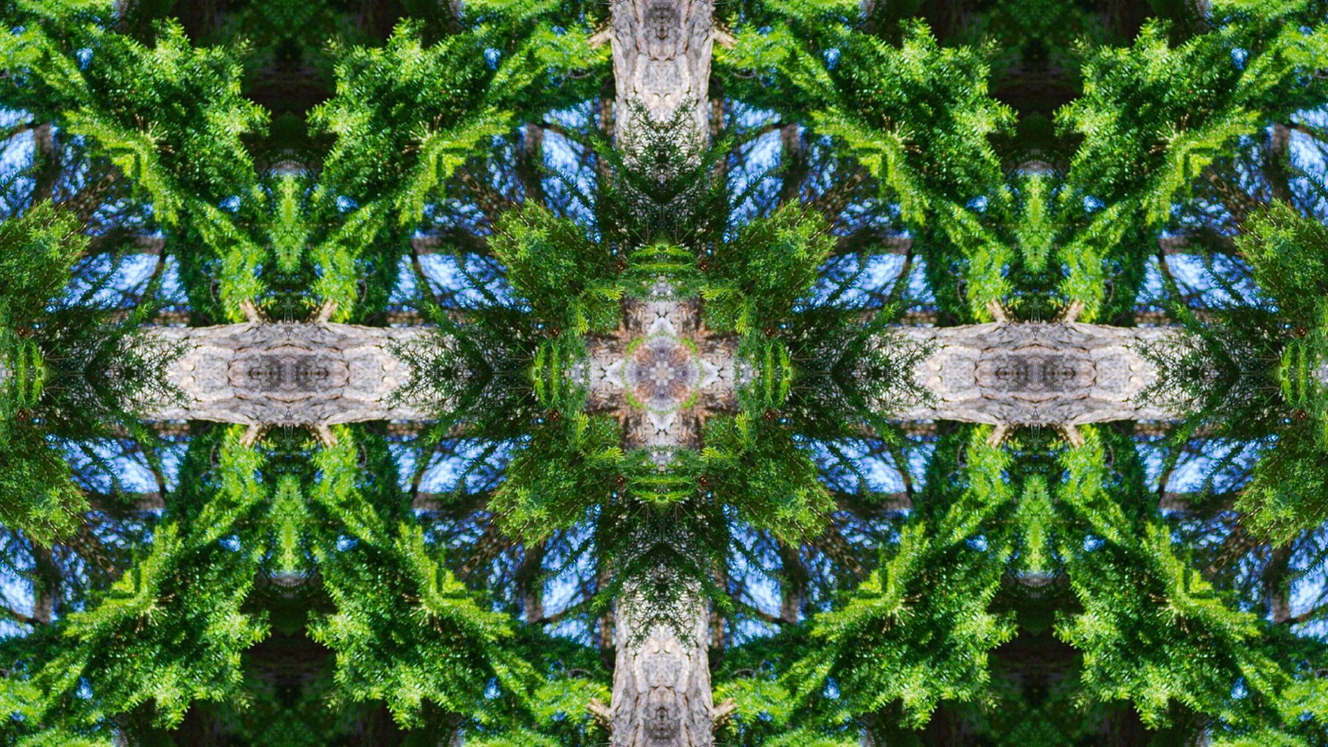 A kaleidoscopic forest image forming a symmetrical energy grid through mirrored tree branches, vibrant green leaves, and radiant blue sky. The sacred geometry of nature is revealed in the fractal-like pattern, creating a visual portal into higher consciousness and grounding frequencies. Ideal as a meditative backdrop or energetic activation artwork.